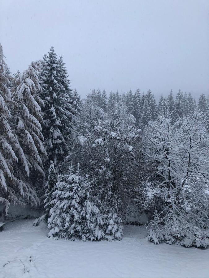 Le Chalet Du Narouel Gerardmer Exterior photo